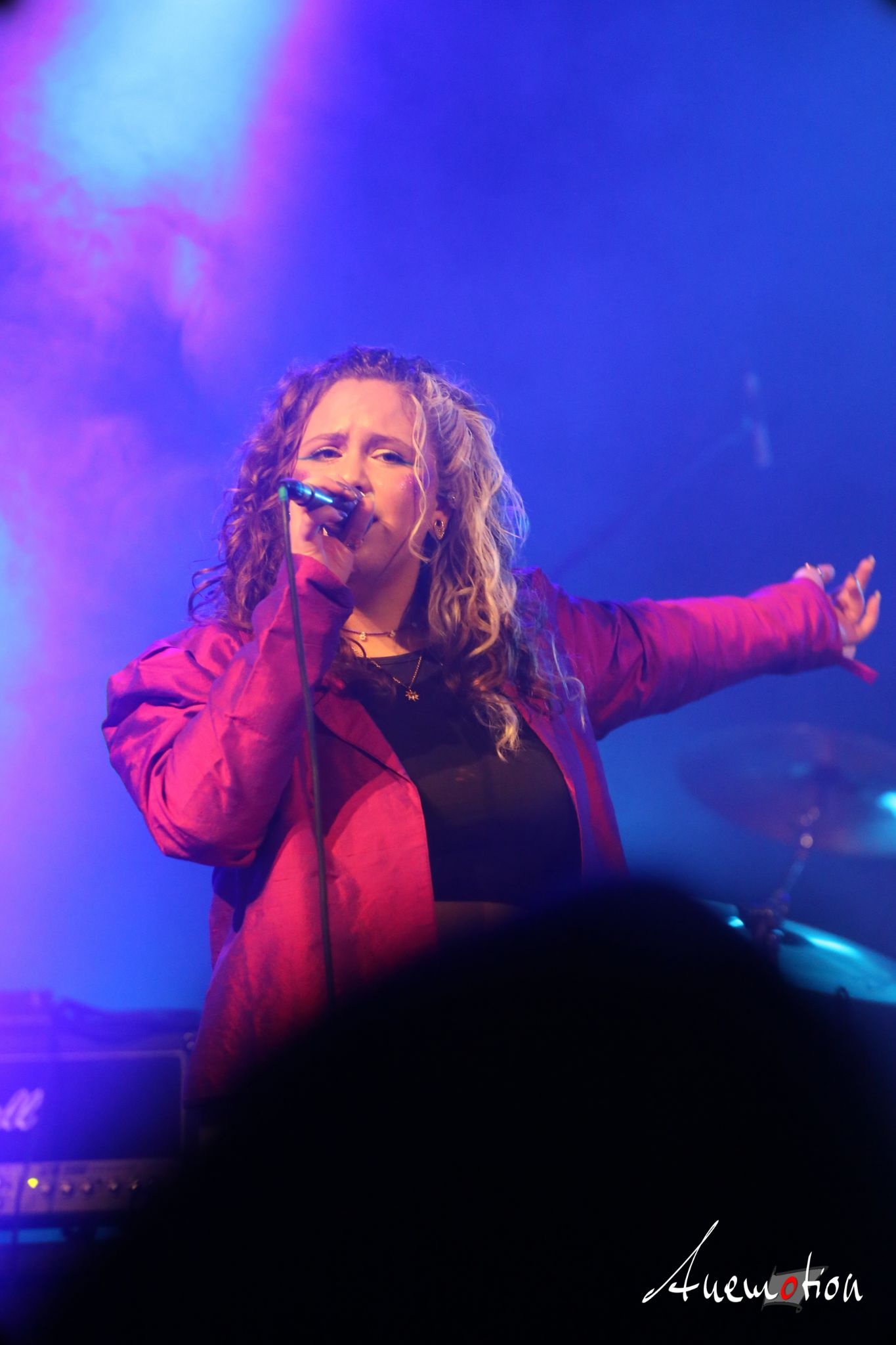 ElephantsFalling (50)